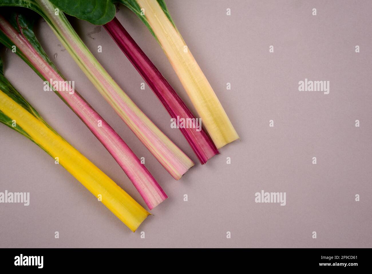 Verger suisse. Légumes sains à feuilles arc-en-ciel. Posez les plantes à plat sur un fond gris clair. Photographie de nourriture, de vie. Vue de dessus, horizontale. Banque D'Images