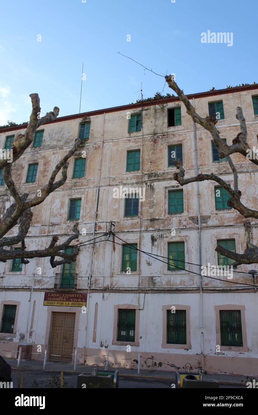 Les branches sauvages d'un avion-arbre saisissent la façade de un grand bâtiment ancien avec des fenêtres vertes Banque D'Images