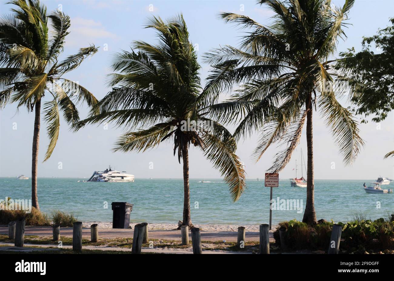 Accent sélectif sur les palmiers. Belle journée ensoleillée à Key Biscayne, Floride. Grands palmiers avec fond d'océan et bateaux. Banque D'Images