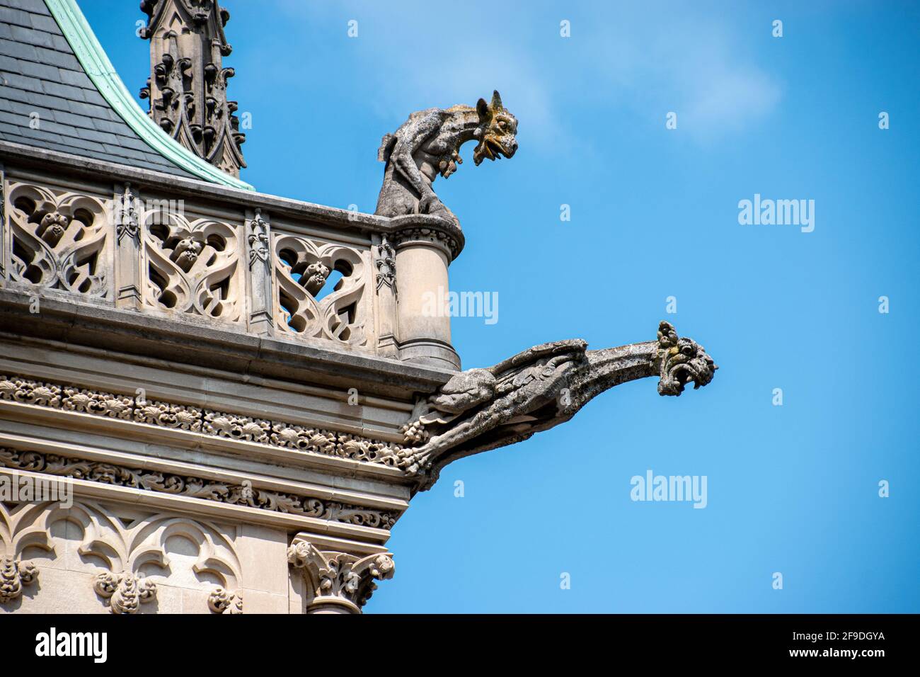 Un ensemble de deux gargouilles du domaine Biltmore Banque D'Images