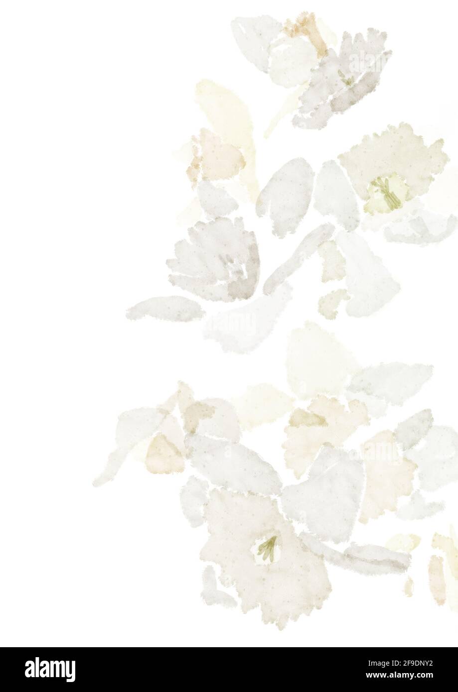 peinture aquarelle des jonquilles pâles Banque D'Images peinture aquarelle des jonquilles pâles Banque D'Images