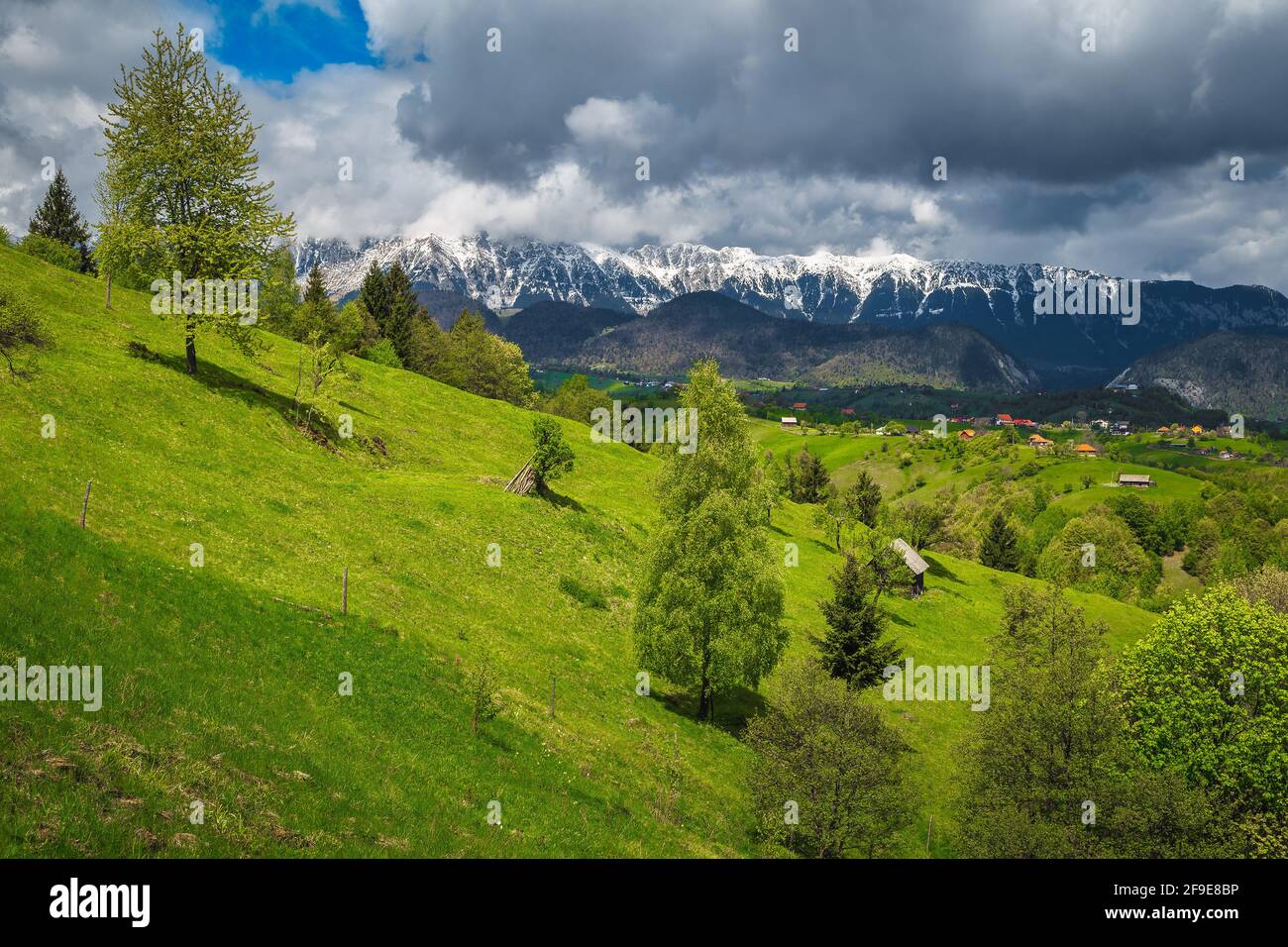 Paysage de campagne d'été incroyable avec des champs verts sur les pistes et les hautes montagnes enneigées Piatra CRAiului en arrière-plan, village de Pestera, Transylvanie Banque D'Images
