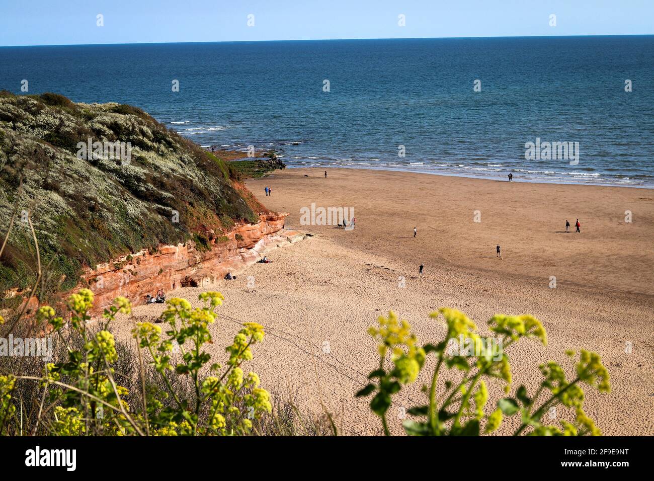 Plage d'Exmouth à Devon Banque D'Images