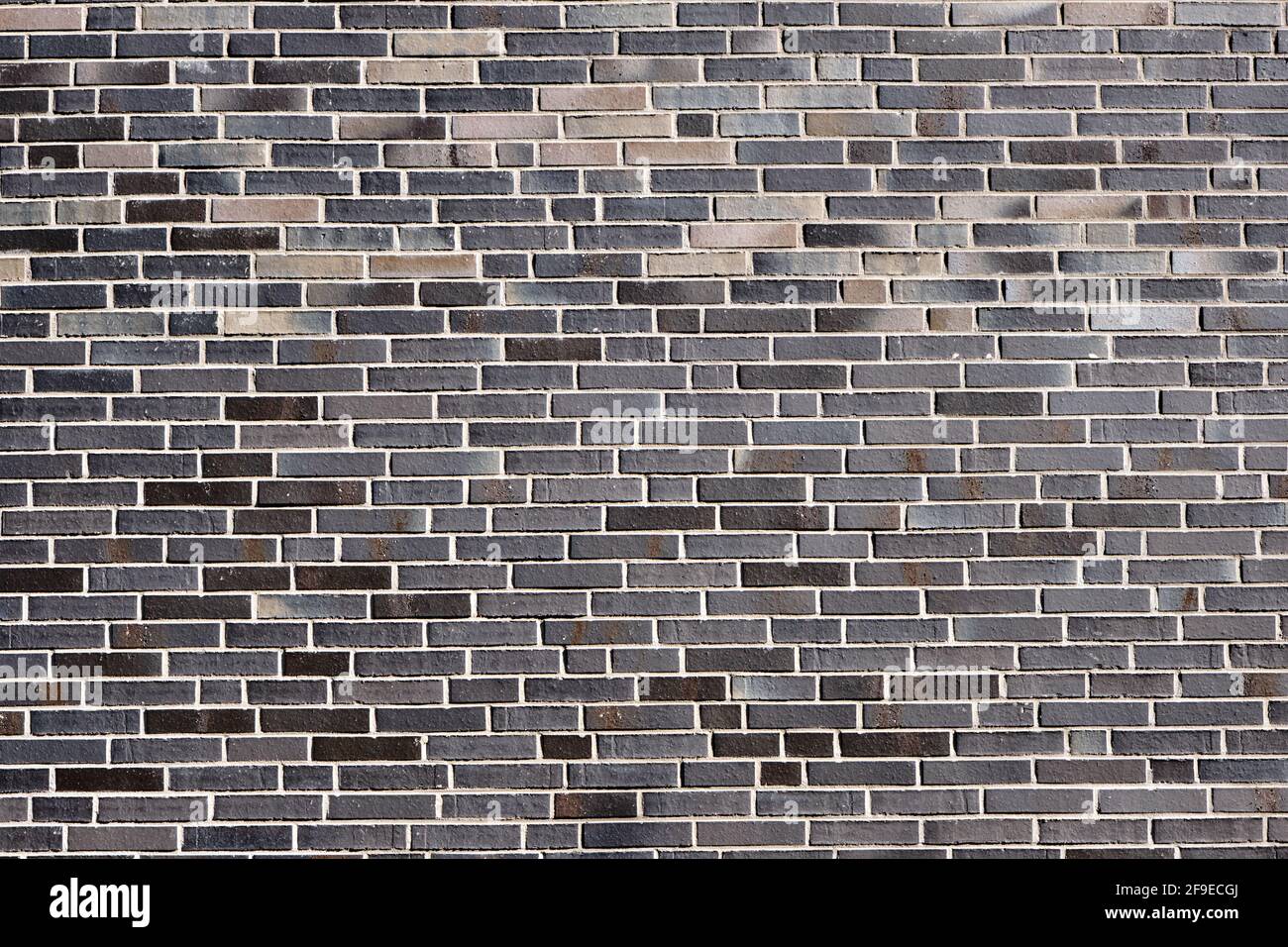 Arrière-plan d'un nouveau mur de briques grises Banque D'Images Arrière-plan d'un nouveau mur de briques grises Banque D'Images