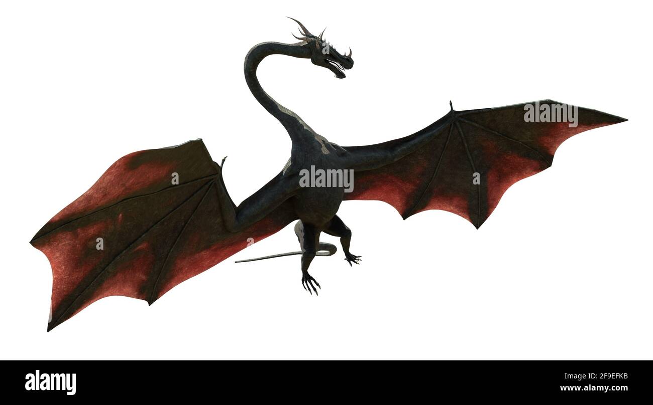 dragon, animal mythologique isolé sur fond blanc Banque D'Images