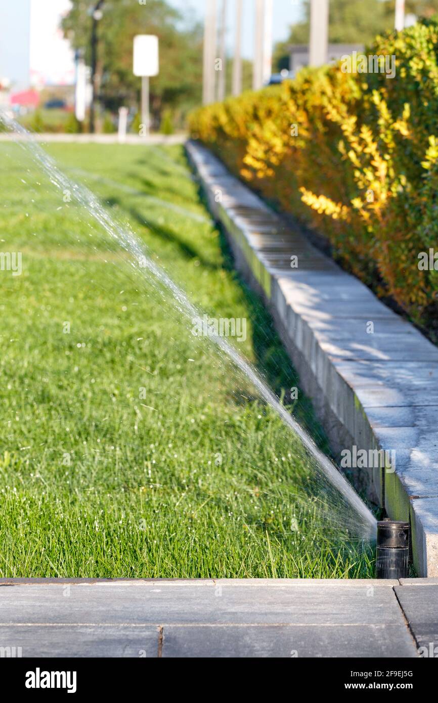 Arrosage, pulvérisation d'eau à l'aide d'un système d'arrosage automatique  sur une pelouse verte. Mise au point sélective, flou d'arrière-plan subtil.  Image verticale, espace de copie Photo Stock - Alamy
