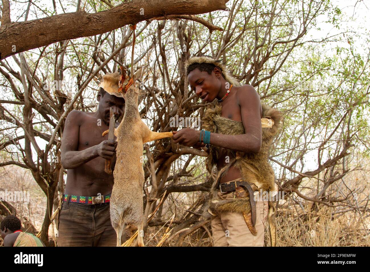 Chasseurs Hadzabe lors d'une expédition de chasse. Les Hadza, ou Hadzabe, sont un groupe ethnique dans le centre-nord de la tanzanie, vivant autour du lac Eyasi dans le centre Banque D'Images