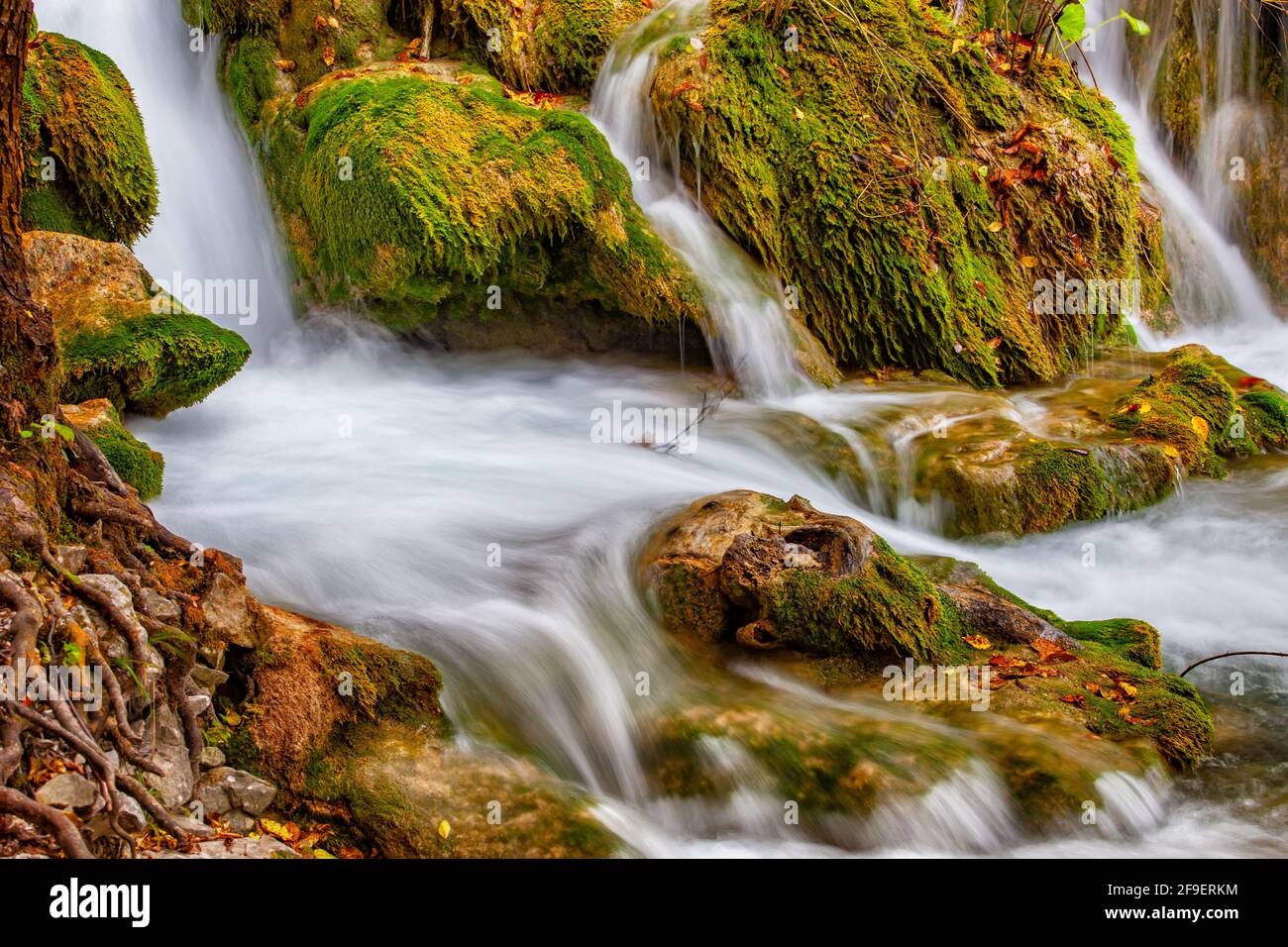 Cascade d'eau naturelle sur des rochers mousseux en automne. Banque D'Images