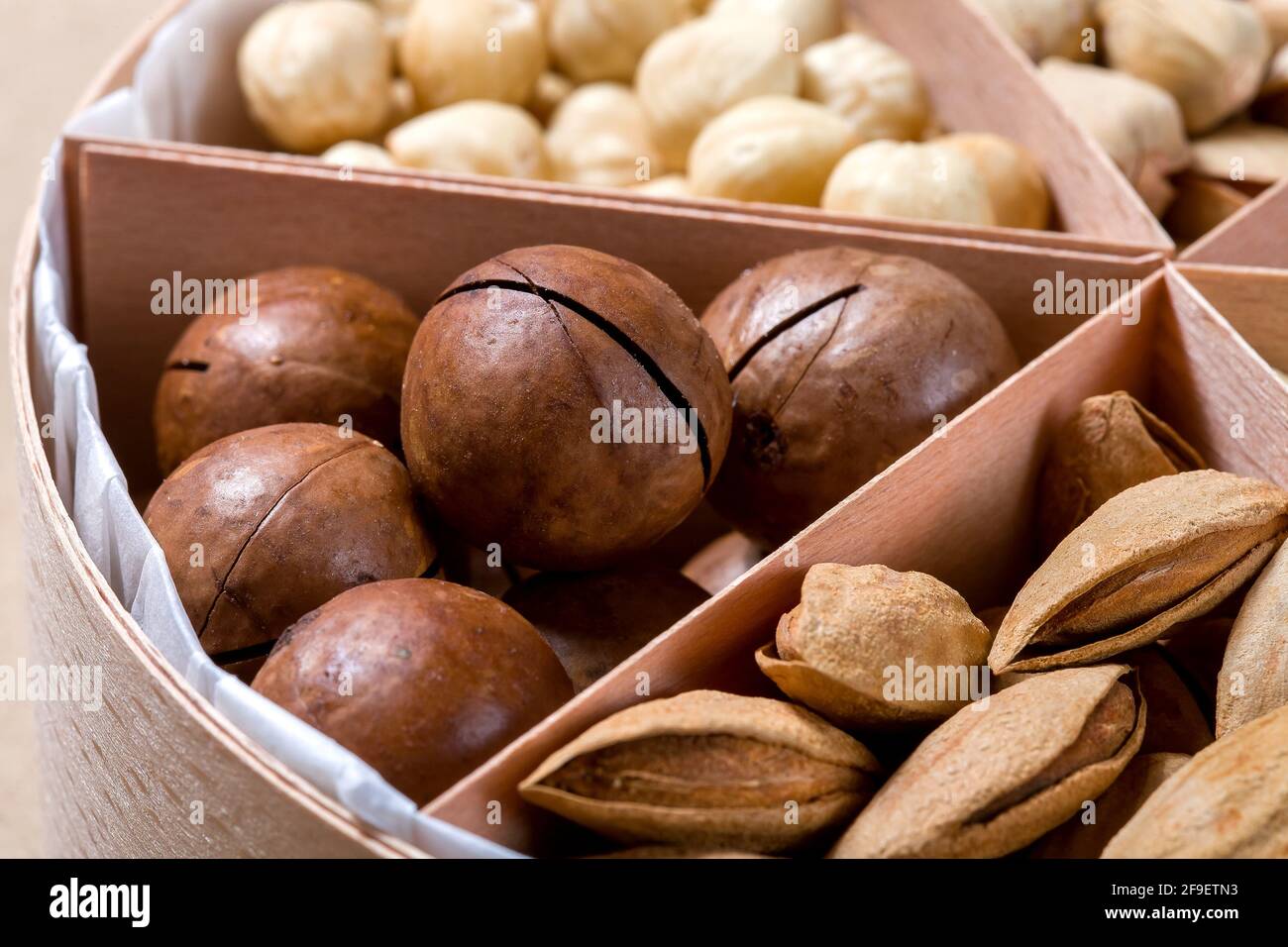 boîte en bois avec des cellules pour différents fruits à coque nourriture pour la nutrition saine de protéines gros plan noix de macadamia, personne. Banque D'Images