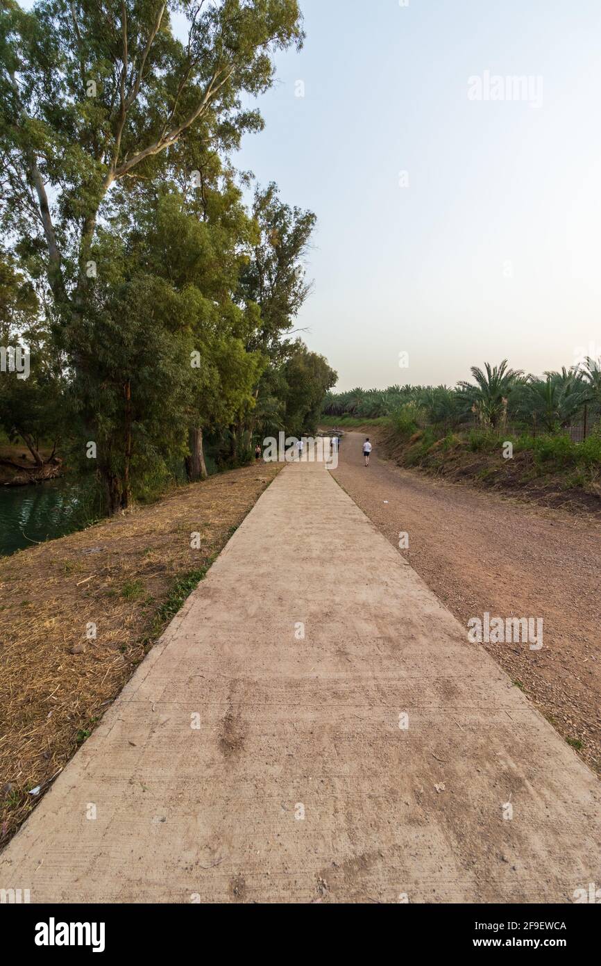 Un sentier pavé près des eucalyptus denses, sur les rives de la rivière Yardenit Banque D'Images