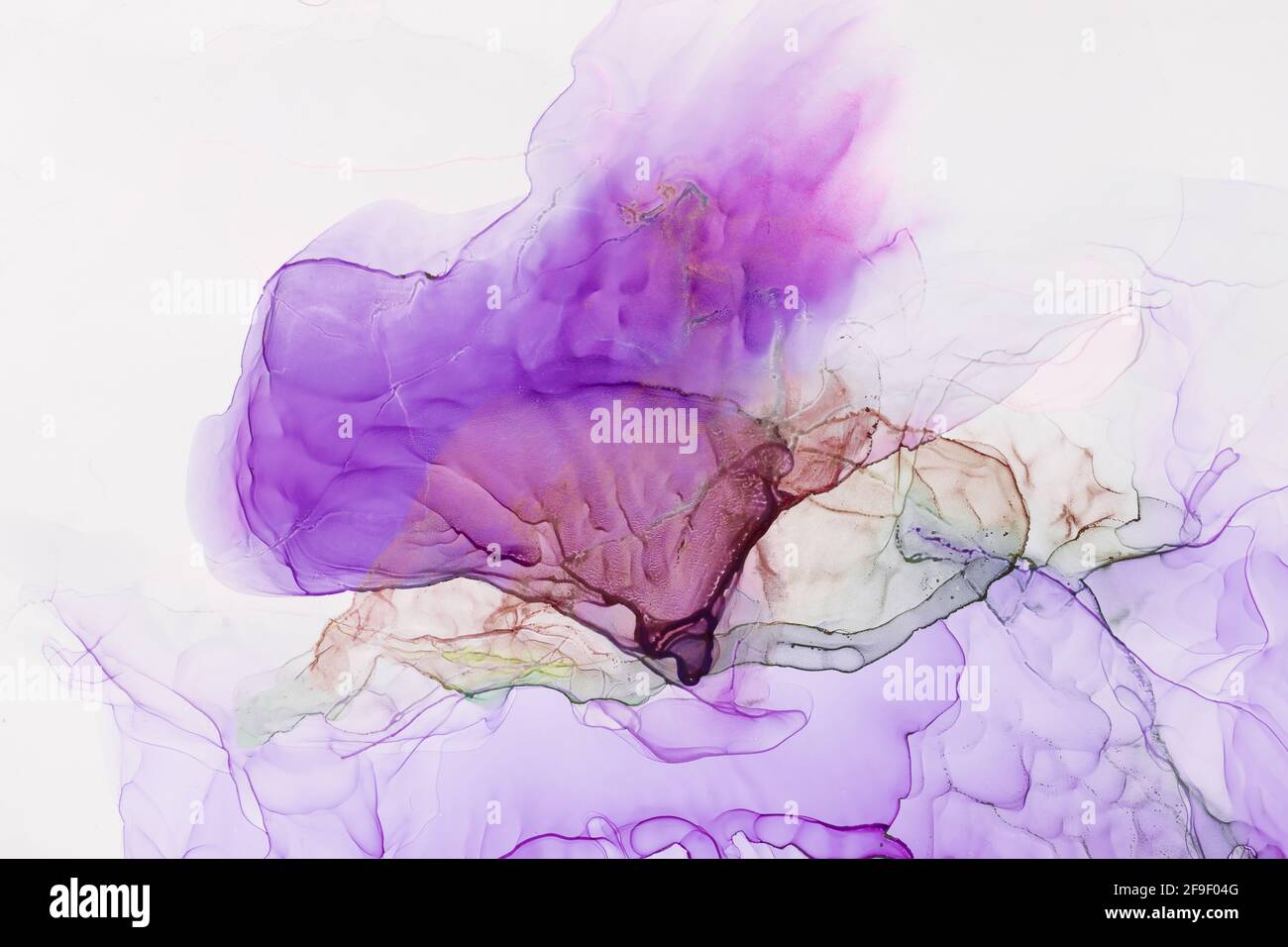 Arrière-plan floral violet abstrait. Encre à base d'alcool Banque D'Images