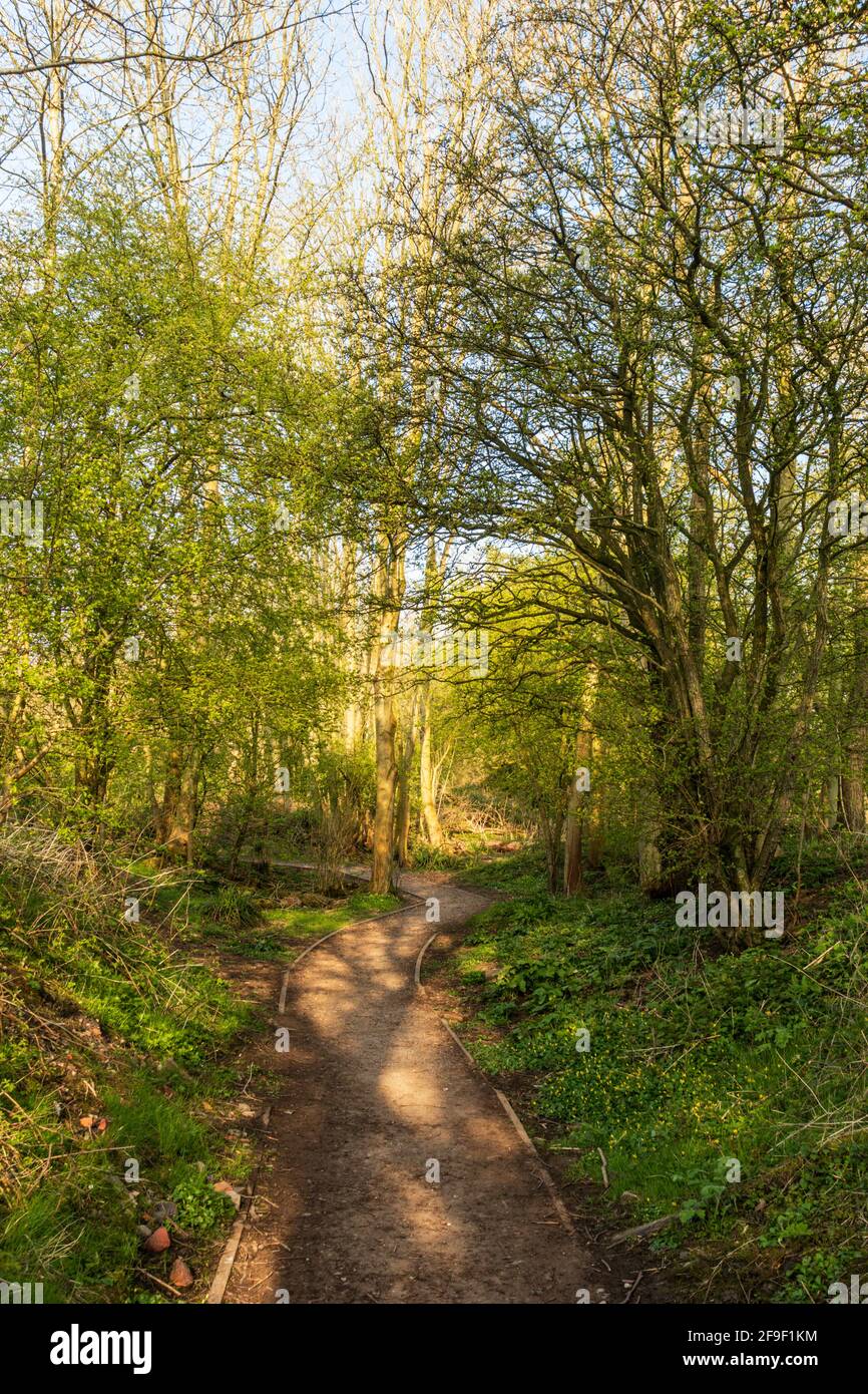 Site de l'ancien chemin de fer de l'hôpital de Calderstones, Whalley; Banque D'Images