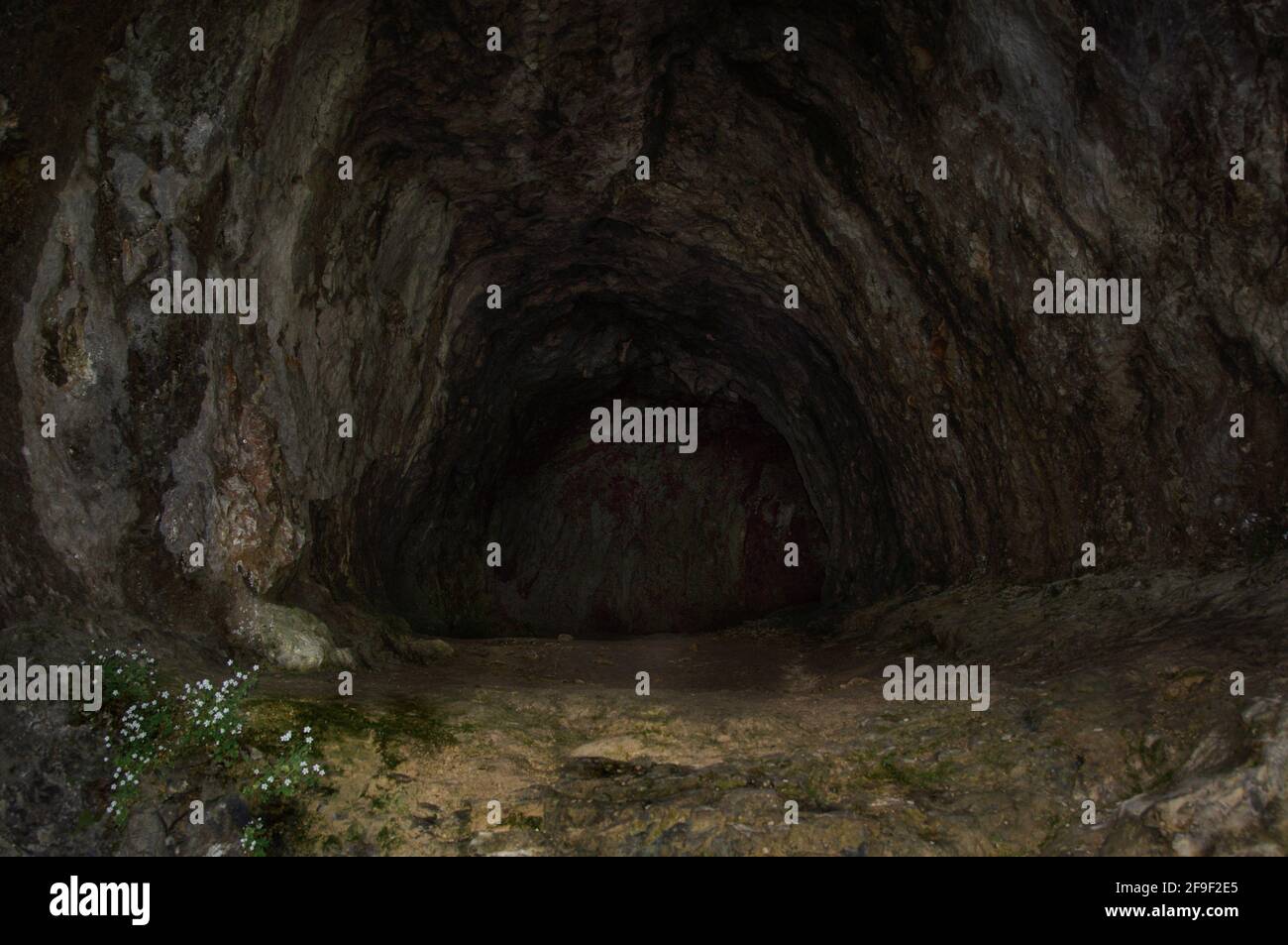 Vue sur l'entrée d'une grotte sombre ressemblant à un tunnel dans le parc national de Plitvitzer. Banque D'Images