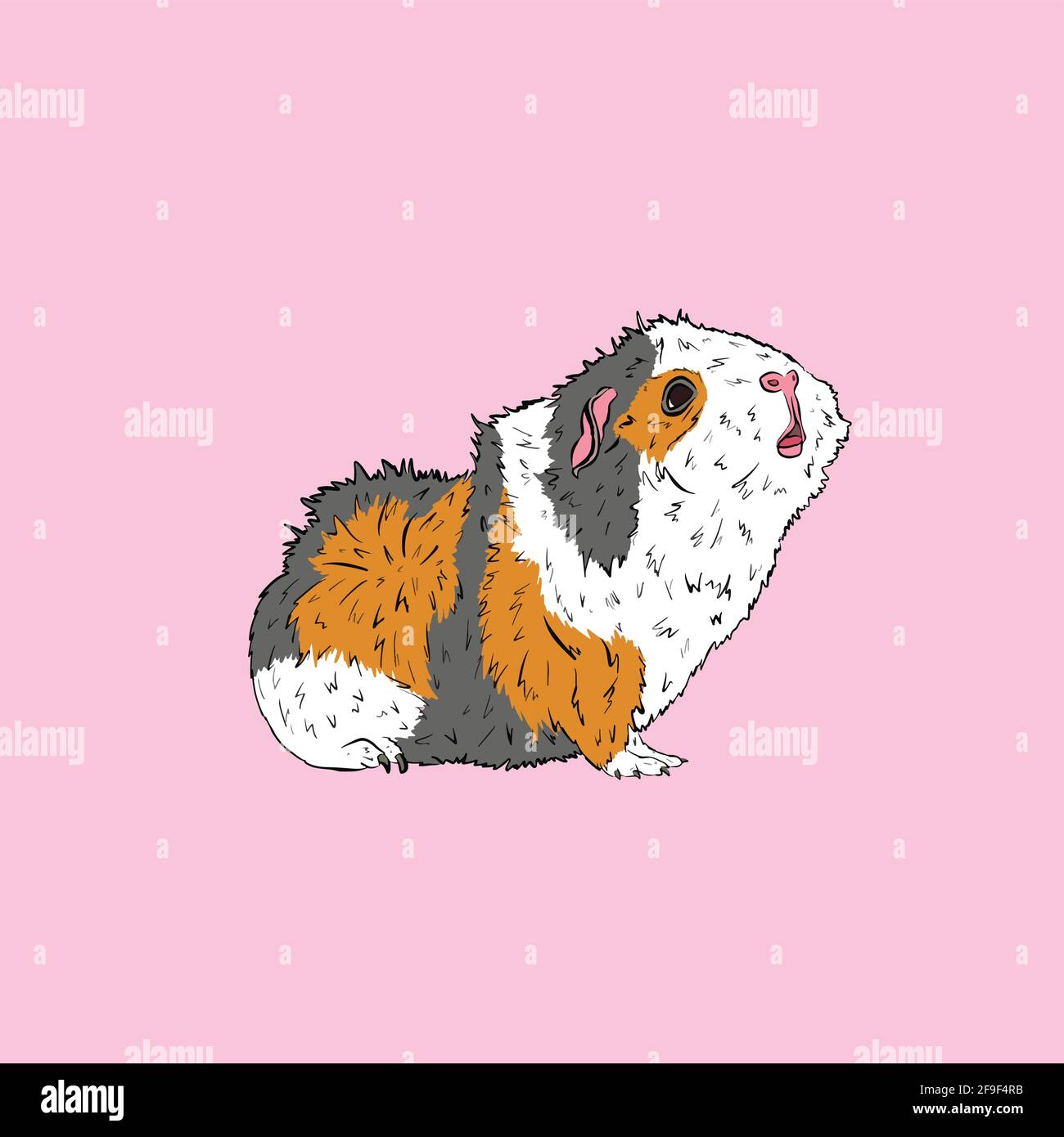 Illustration Du Dessin Anime D Un Cochon D Inde Ou D Un Animal Guineapig Dans Vector Image Vectorielle Stock Alamy