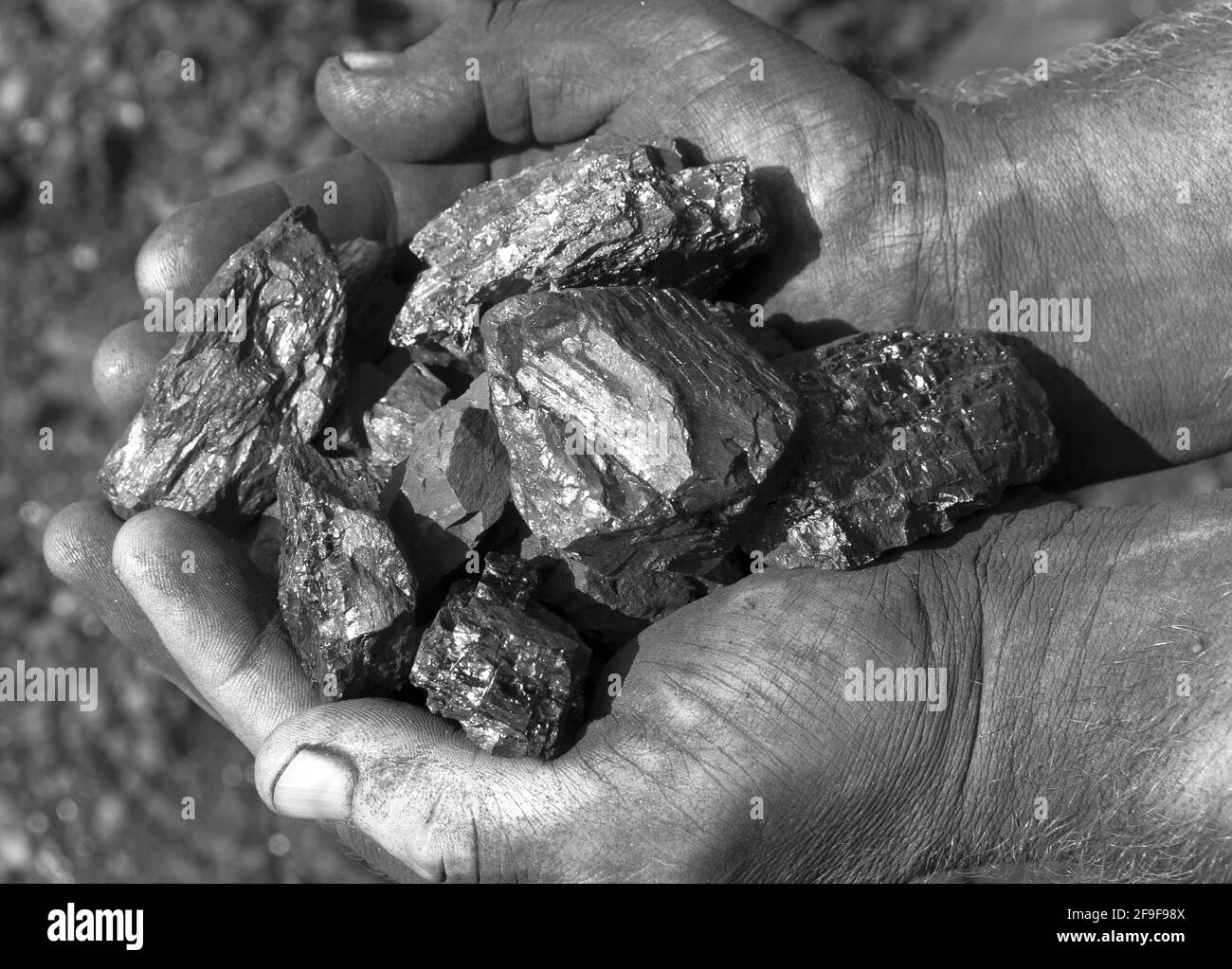 Mains mâles sales tenant des morceaux de charbon Banque D'Images