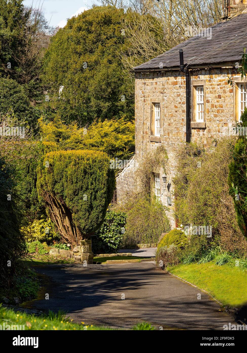 Bolton par Bowland Yorkshire UK jolies cottages au printemps soleil Banque D'Images