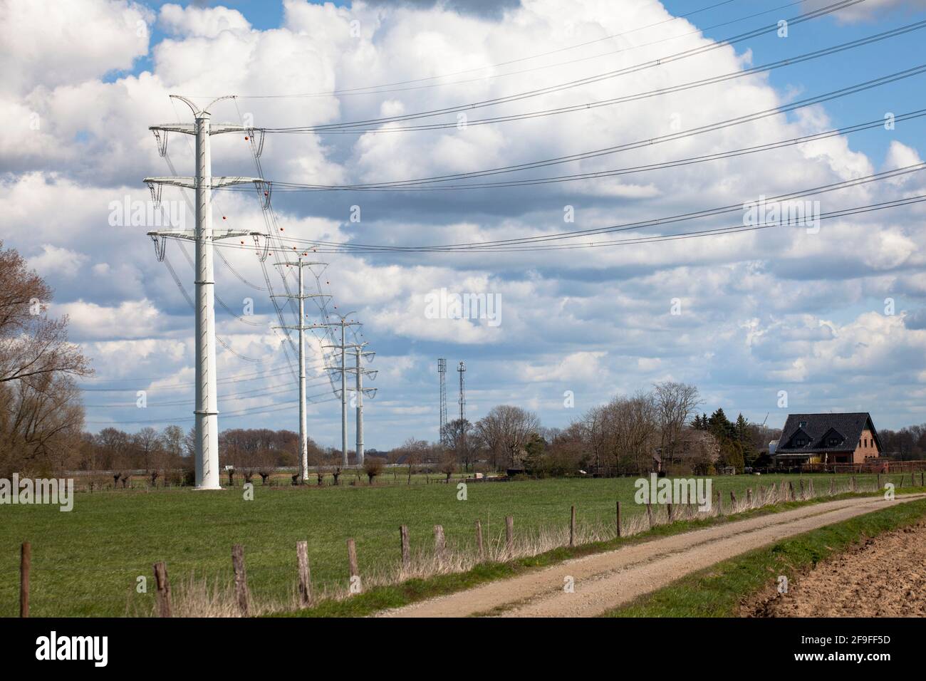Près d'Isselburg, à Muensterland, des lignes électriques de 380 kV s'exécutent sur des pylônes à parois solides, c'est un projet pilote de l'exploitant du système de transmission Amprion, Nort Banque D'Images