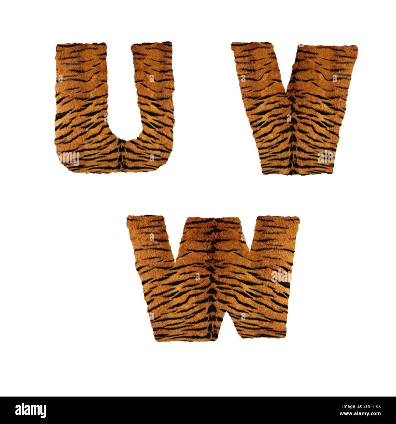 Rendu 3D de l'alphabet de fourrure de tigre - lettres U-W. Banque D'Images