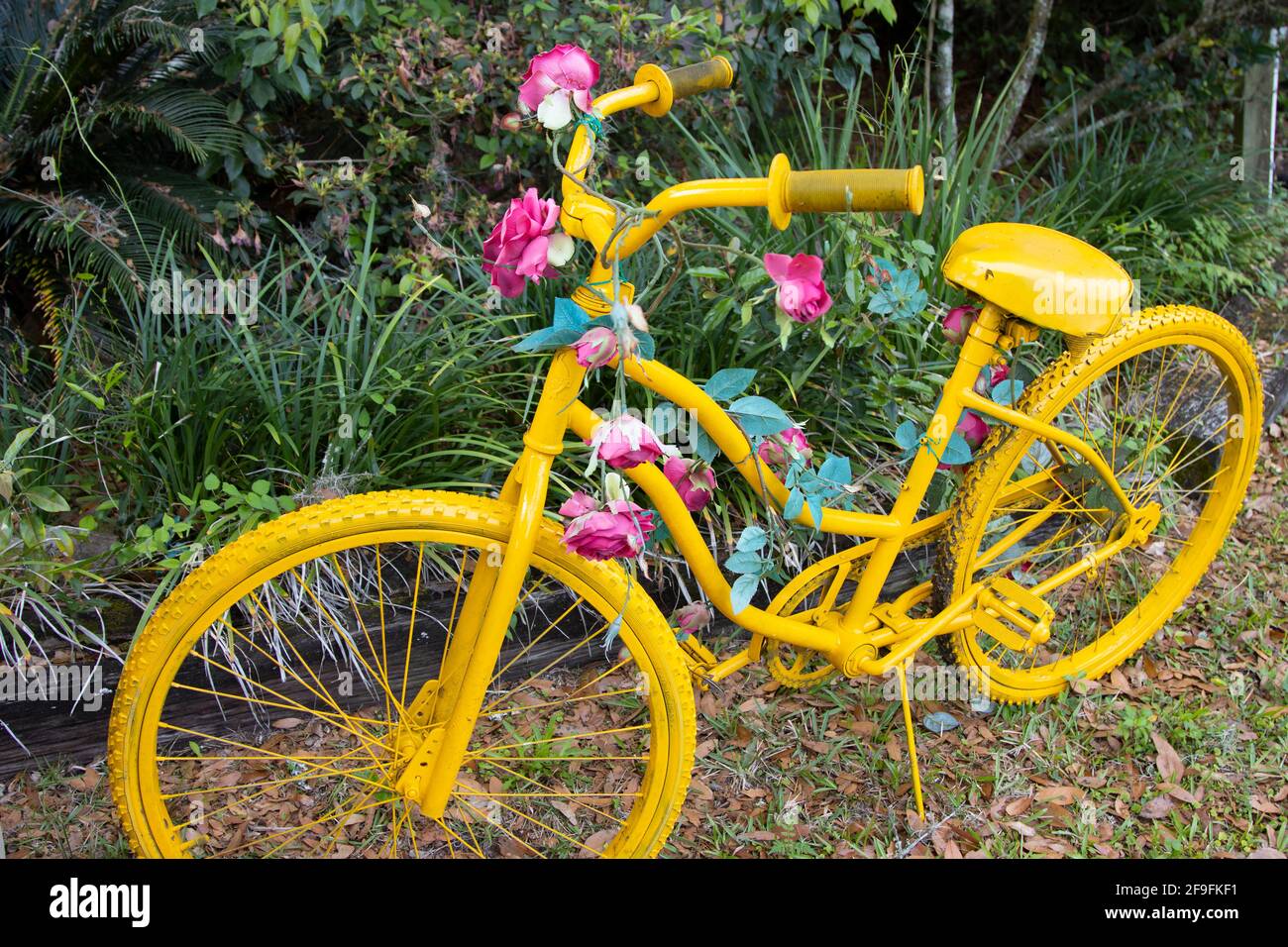 Un joli vélo d'époque peint dans un jardin Photo Stock - Alamy