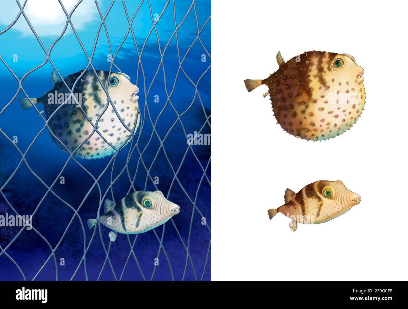 Illustration du poisson-souffleur dans la mer Banque D'Images