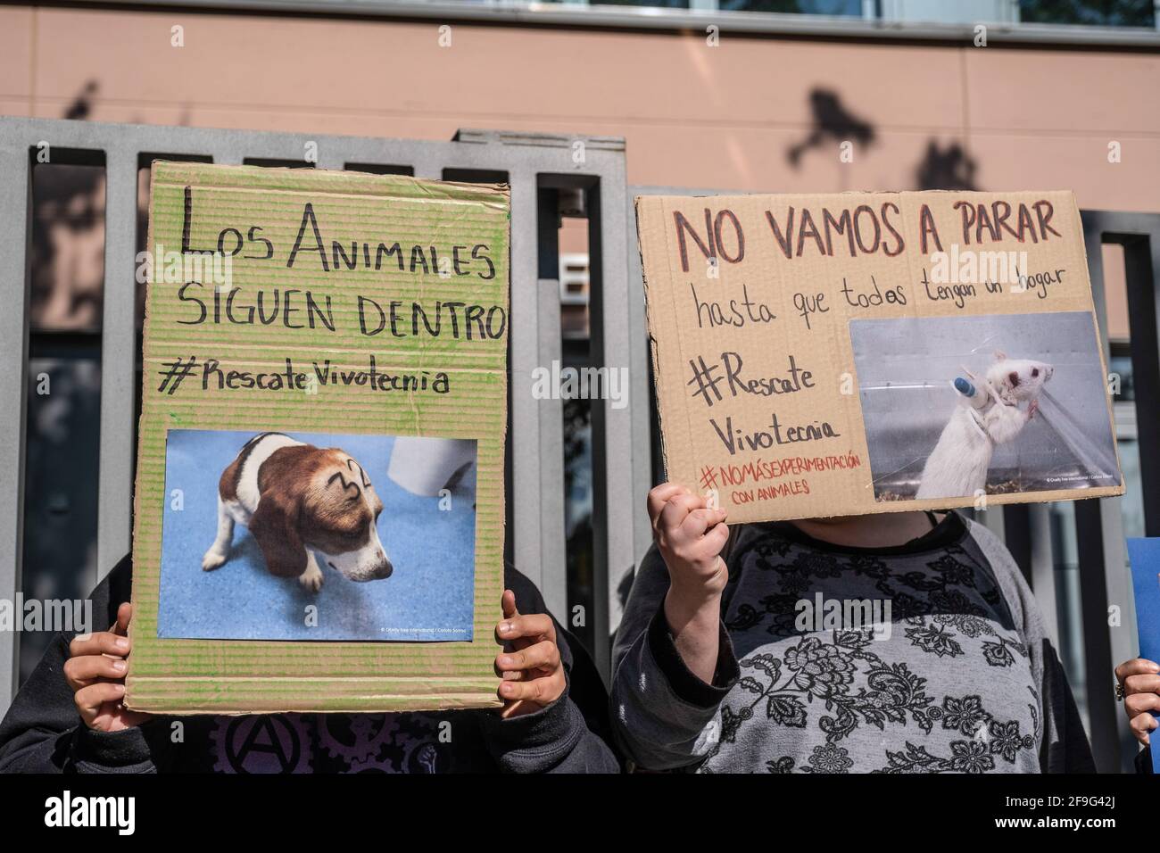 Barcelone, Espagne. 18 avril 2021. Les manifestants tiennent des écriteaux contre l'expérimentation et la cruauté envers les animaux pendant la manifestation. Près d'une centaine de personnes se sont rassemblées devant le siège de Vivotecnia à Barcelone pour protester contre la cruauté envers les animaux à la suite de la publication dans des nouvelles informatives d'images de traitements cruels d'animaux de laboratoire au siège de Vivotecnia à Madrid. Crédit : SOPA Images Limited/Alamy Live News Banque D'Images