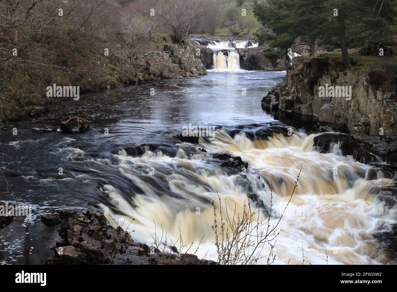 Chutes d'eau de Low Force, Upper Teesdale Banque D'Images