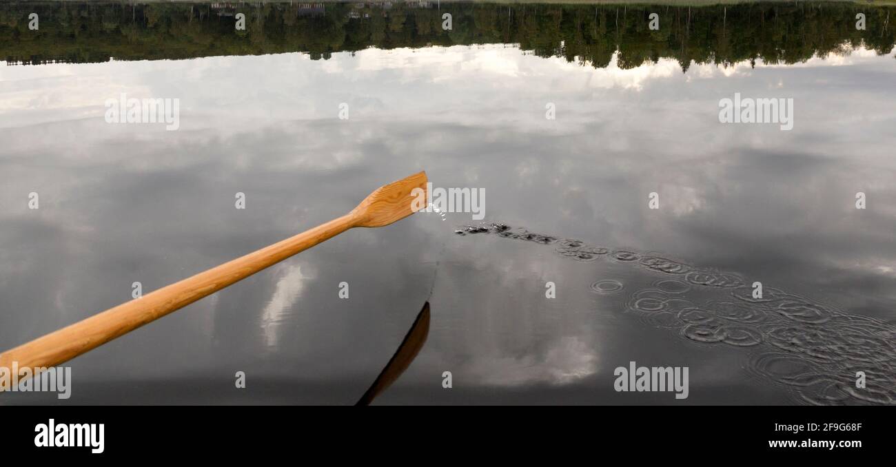 Pagaie qui coule de l'eau reflétant la forêt. Banque D'Images