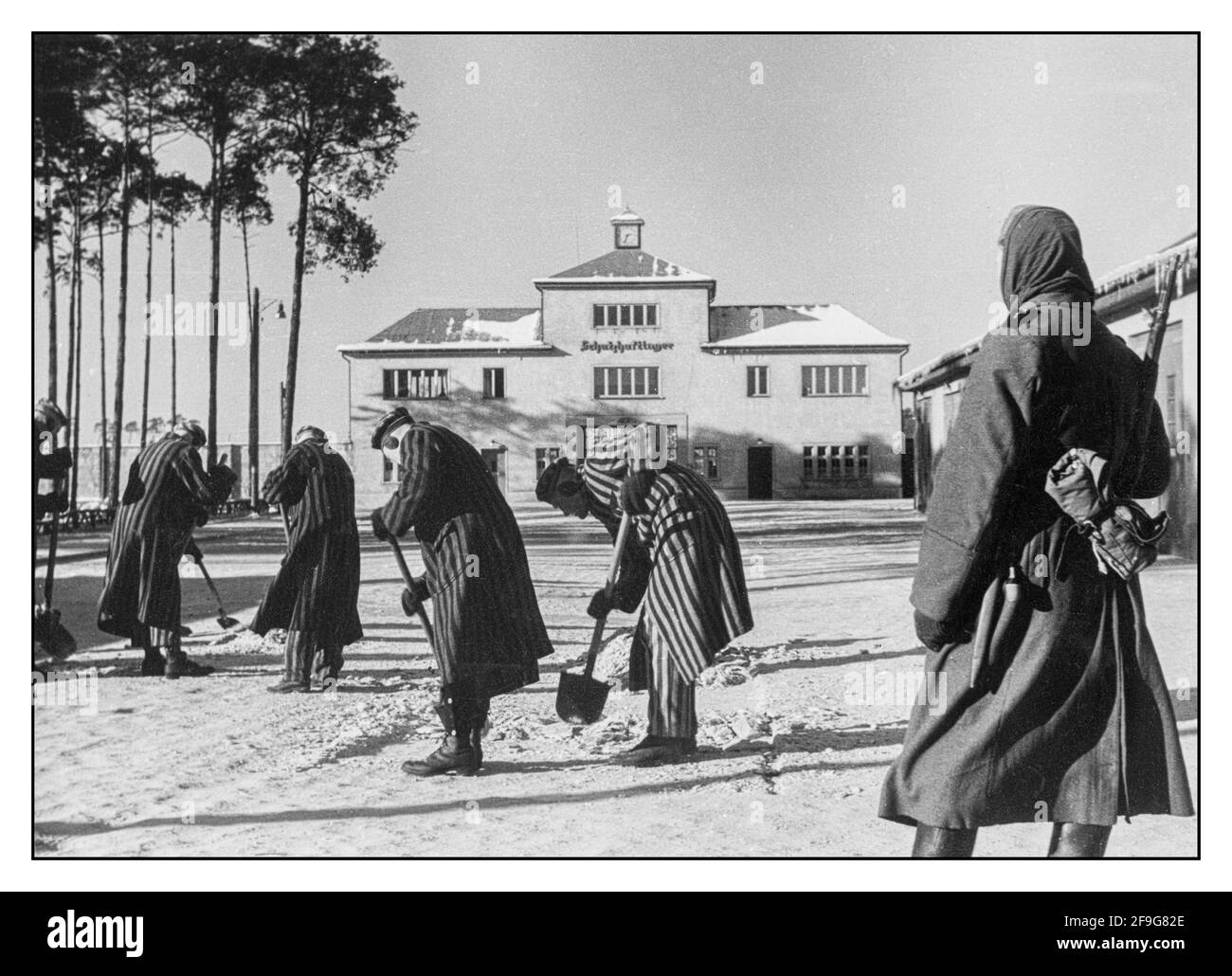 WW2 40 CAMP DE CONCENTRATION NAZI camp de concentration de Sachsenhausen en dehors de Berlin en hiver avec des prisonniers portant des uniformes rayés de nettoyer le Chemin de neige Allemagne nazie Seconde Guerre mondiale Allemagne nazie Banque D'Images