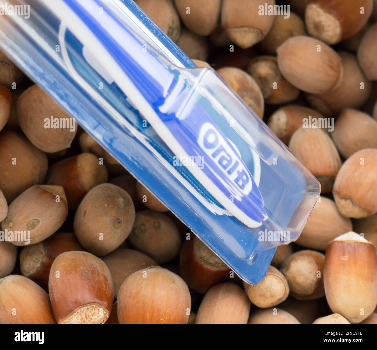 Brosse à dents Oral-B. Braun GmbH est une société allemande de produits de consommation fondée en 1921 et basée à Kronberg im Taunus. Banque D'Images