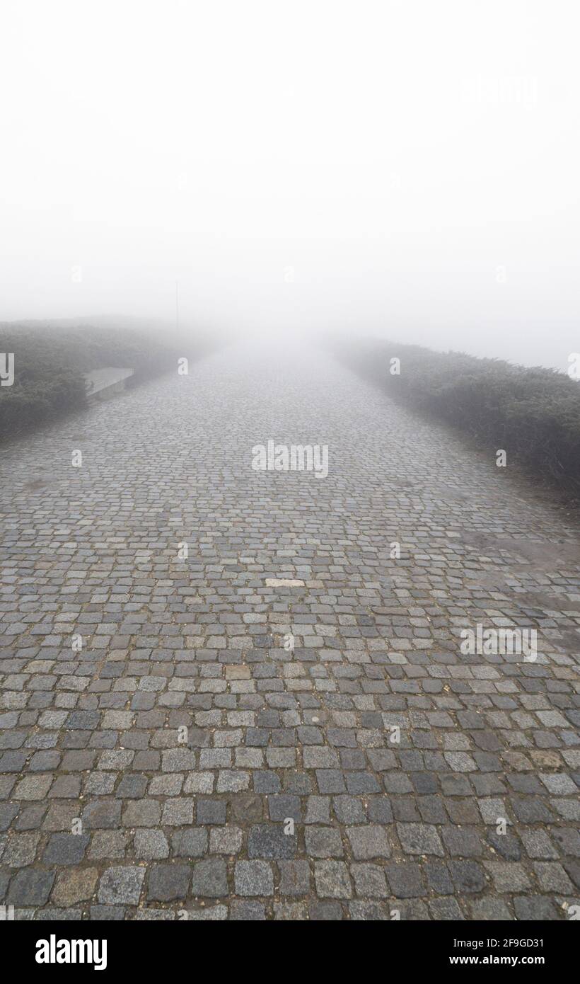 Revêtement de la route en pierre avec du brouillard devant, à la verticale Banque D'Images