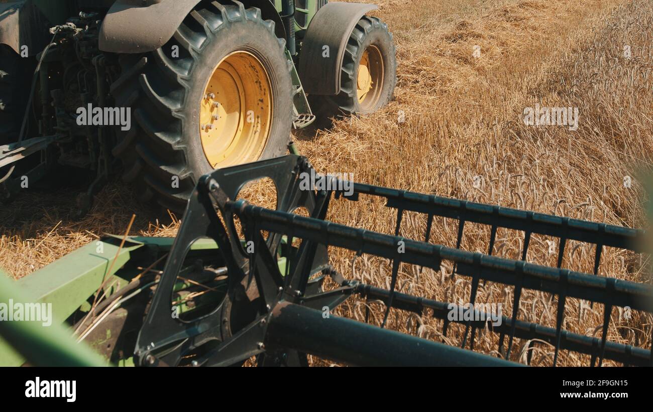 Gros plan de la barre de coupe d'une moissonneuse-batteuse dans le champ de blé pendant la journée. Une autre moissonneuse-batteuse peut être vue sur le côté gauche travaillant dans le champ, concept d'agriculture et récolte de récoltes. Banque D'Images