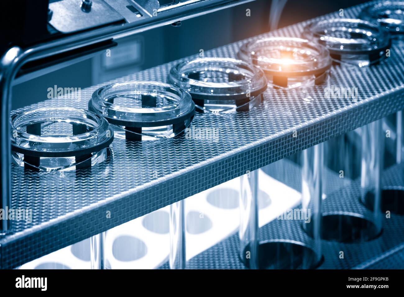 Tubes à essai pour la recherche scientifique et médicale, test pcr du virus corona Covid 19 Banque D'Images