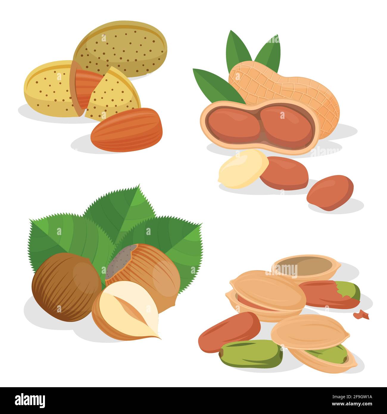 Définir les icônes vectorielles, les écrous et les grains Illustration de Vecteur