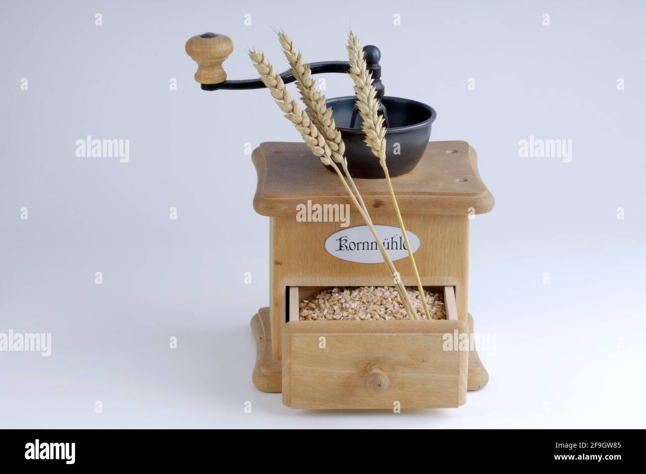 Blé (Triticum aestivum) dans le moulin à grain Banque D'Images