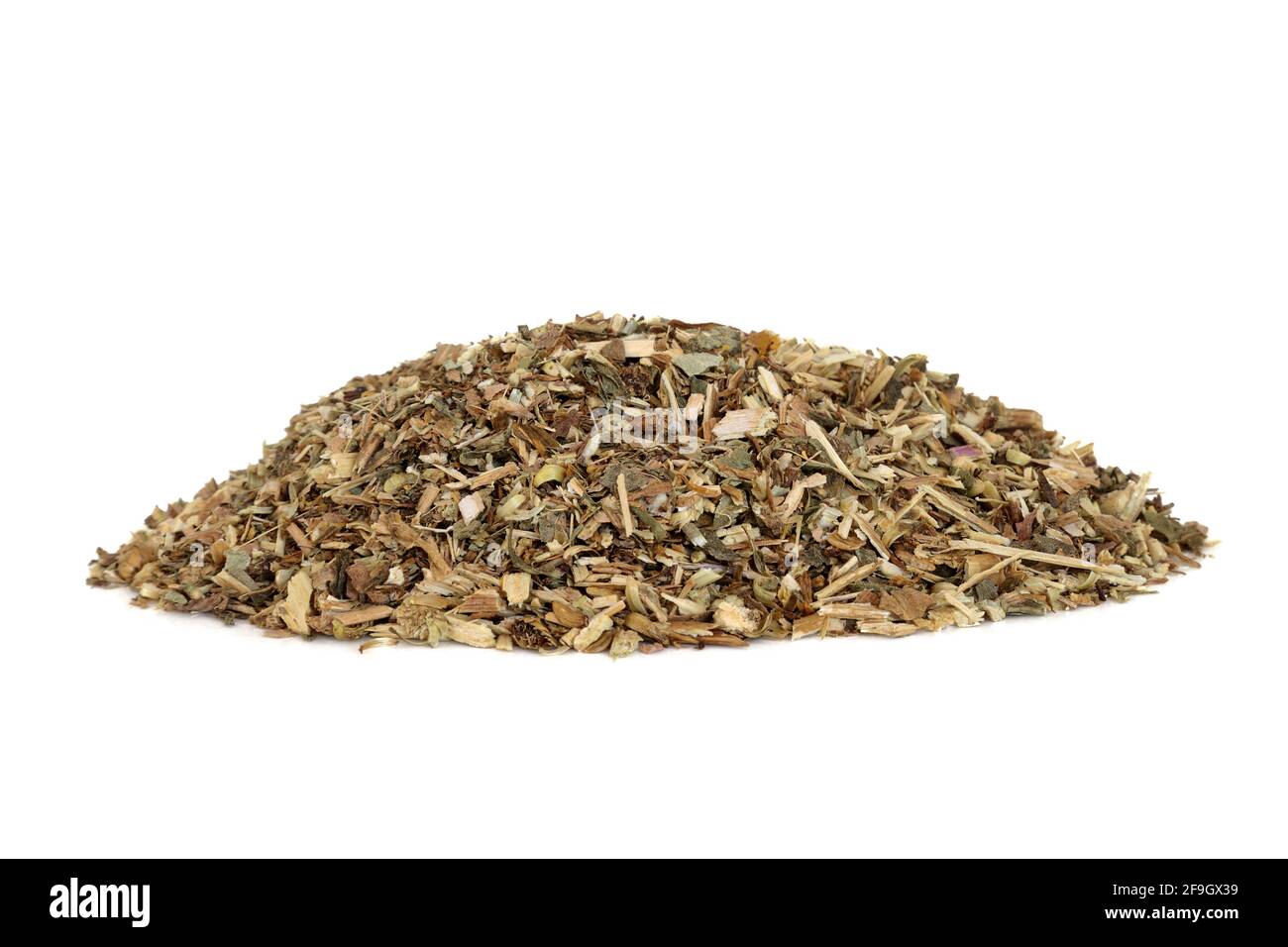 Herbe de Grindelia utilisée en phytothérapie pour traiter la toux, la bronchite, la coqueluche, l'inflammation du nez, de la gorge et des sinus et est antibactérienne. Banque D'Images