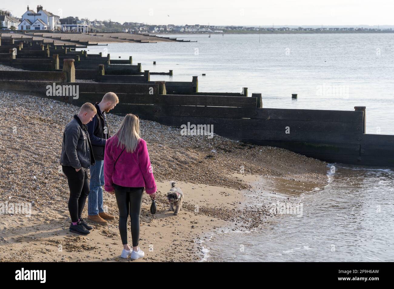 Groupe d'amis marchent le chien sur le front de beanch à Whitstable au coucher du soleil dimanche, Kent Banque D'Images