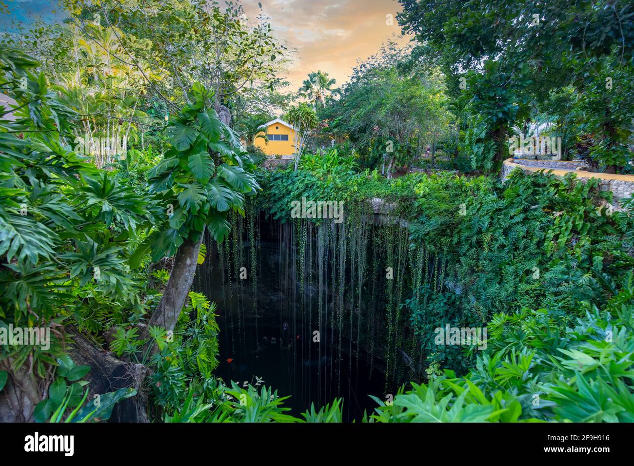 Cénote IK Kil situé dans le centre nord de la péninsule du Yucatan, une partie du parc archéologique IK Kil près de Chichen Itza. Banque D'Images Cénote IK Kil situé dans le centre nord de la péninsule du Yucatan, une partie du parc archéologique IK Kil près de Chichen Itza. Banque D'Images