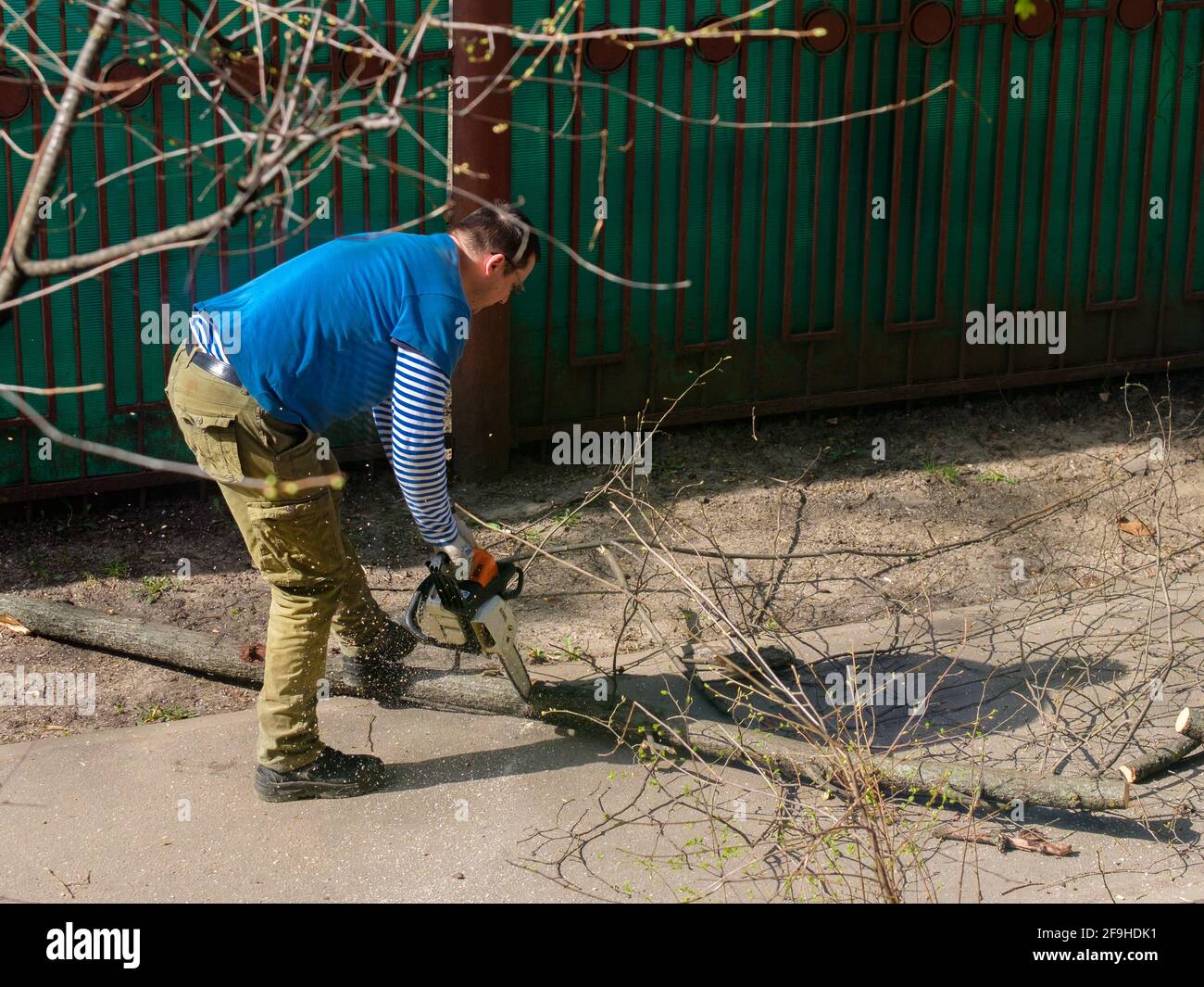 Moscou. Russie. 17 avril 2021. Un homme scie une branche épaisse d'un arbre avec une tronçonneuse. Rajeunissement des arbres. Jour de printemps ensoleillé. Banque D'Images