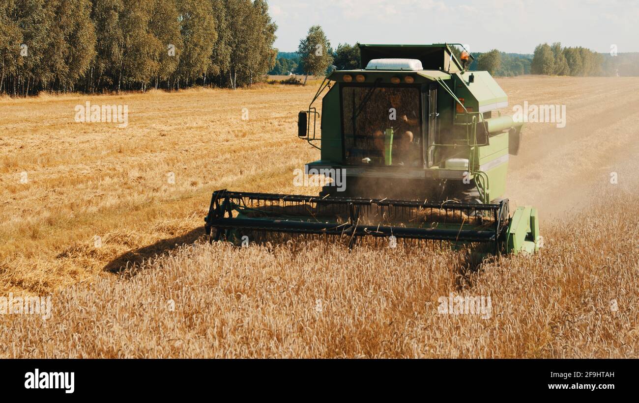 Varsovie, Pologne 10.08.2020 - UNE moissonneuse-batteuse dans le champ de blé doré. Agriculteur conduisant la récolteuse et moissonnant les épis de blé mûrs pendant la journée. Le nuage de poussière se forme. Banque D'Images