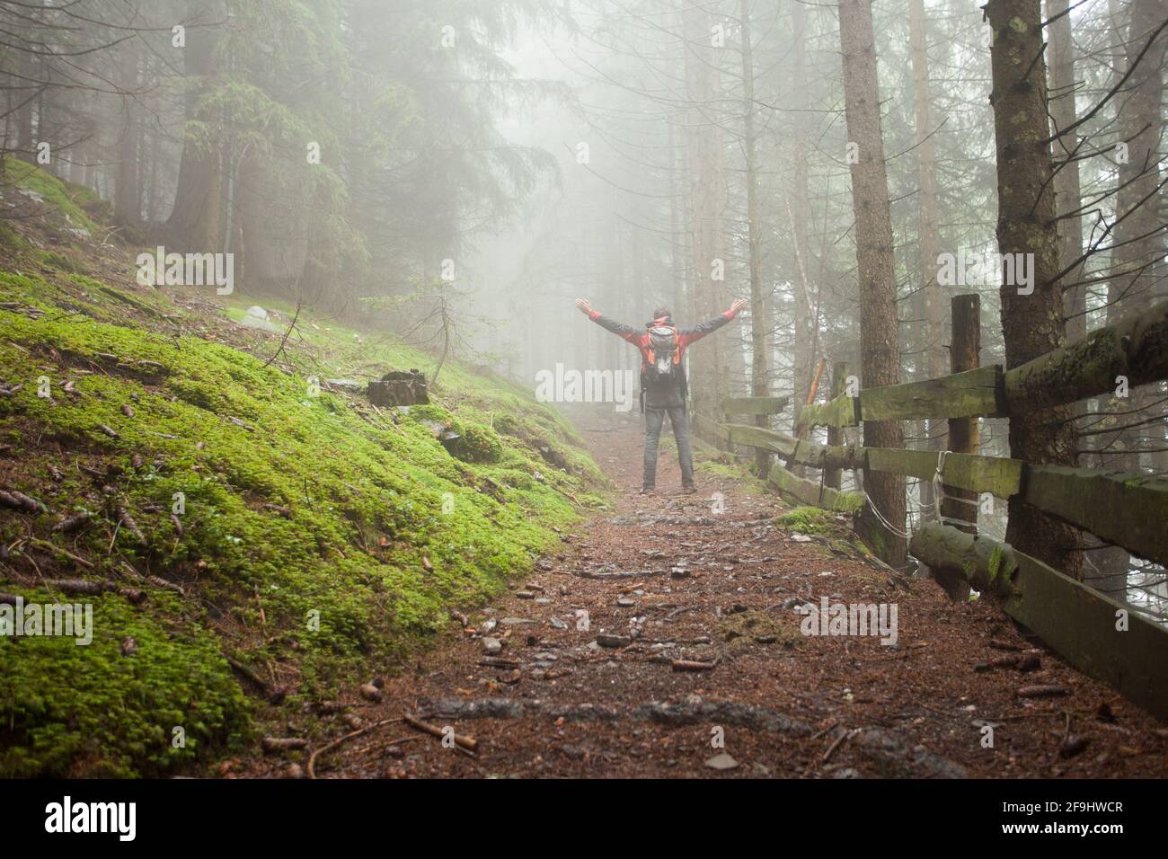 un homme qui marche seul dans une forêt par une journée de brouillard Banque D'Images