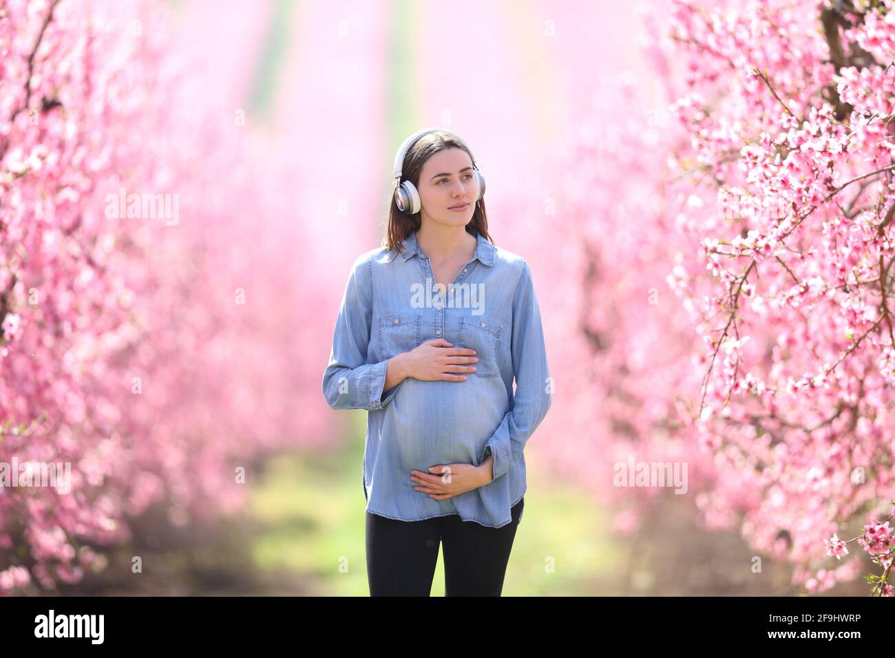 Vue avant d'une femme enceinte portant un casque à l'écoute musique marchant dans un champ Banque D'Images