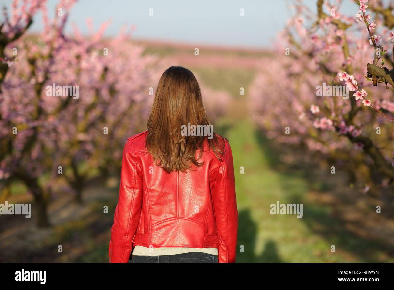 Vue arrière portrait d'une femme en rouge qui marche en travers un champ au printemps Banque D'Images
