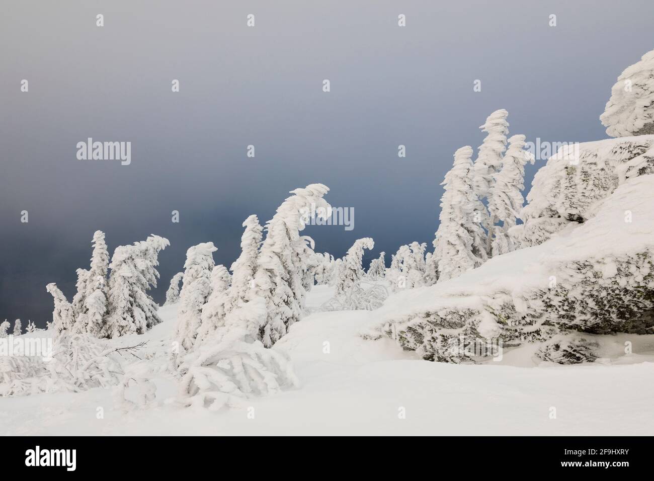 Paysage en hiver. Grand Arber, Forêt de Bohême, Bavière, Allemagne Banque D'Images