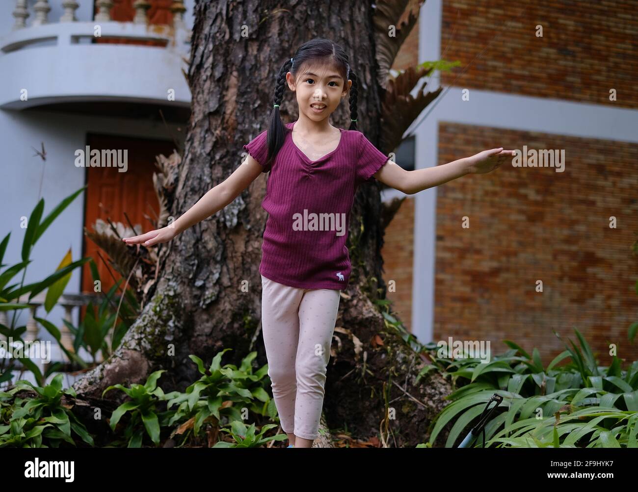 Une jeune fille asiatique mignonne est en train de marcher et de se balancer sur la racine d'un grand arbre dans son arrière-cour, en s'amusant et souriant. Banque D'Images