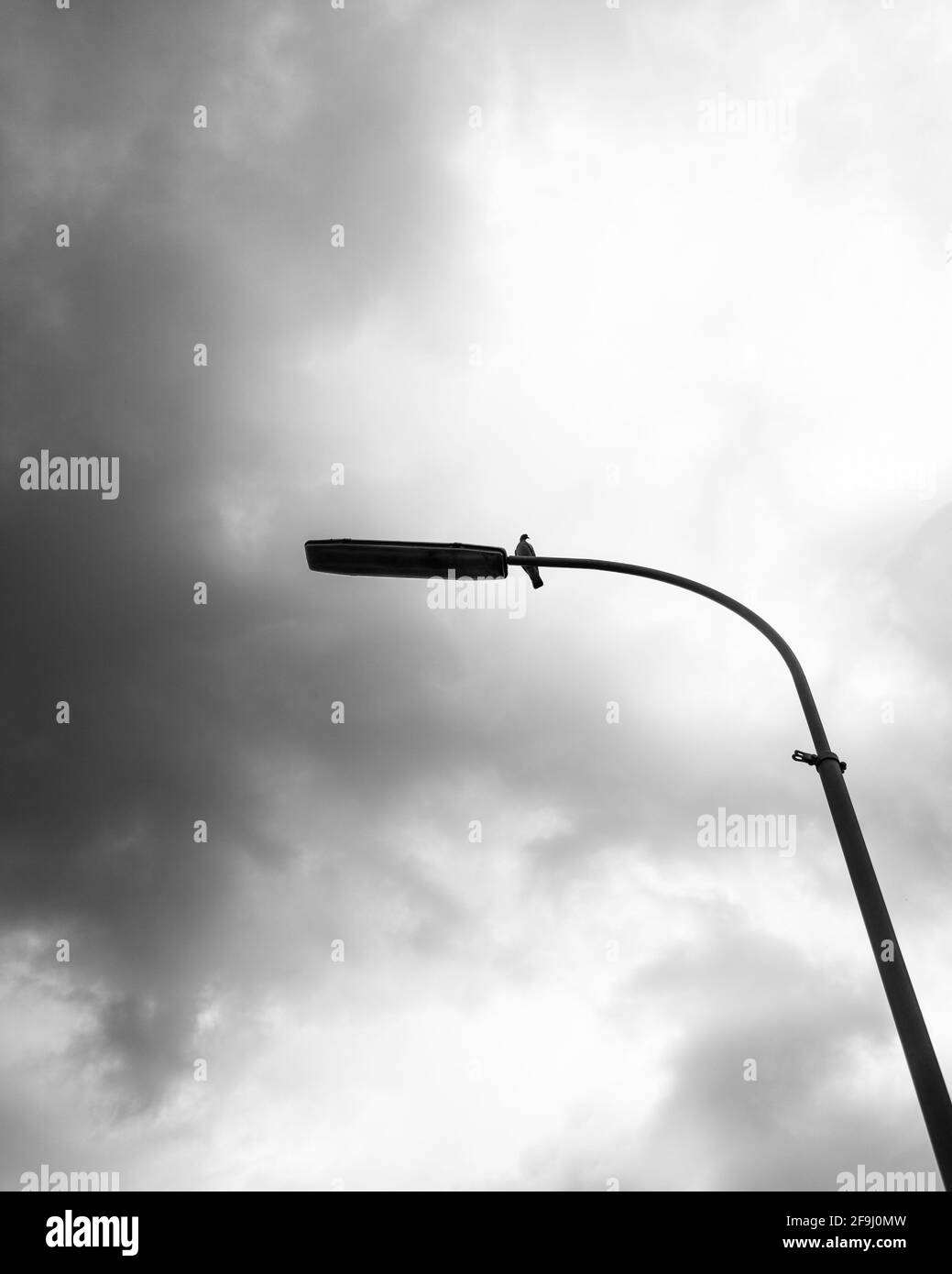 Prise de vue verticale en niveaux de gris d'un lampadaire sous le ciel nuageux Banque D'Images