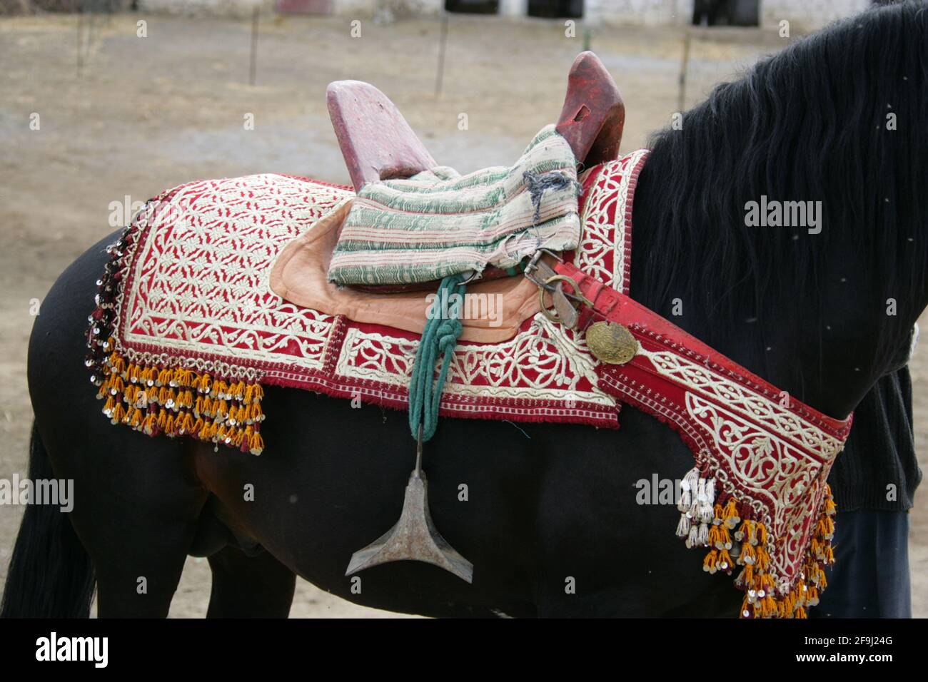 Selle traditionnelle, style Barb. Égypte Banque D'Images