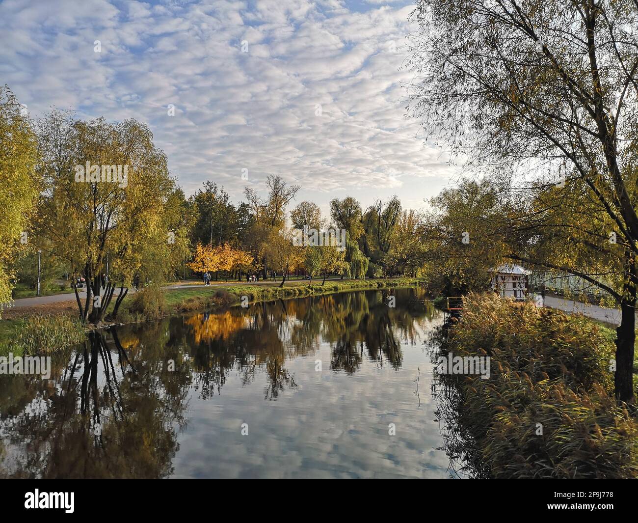 Automne doré dans le parc avec des arbres et des nuages reflétant dans l'eau sombre du lac à Kiev (Kiev) ville, Ukraine. Banque D'Images