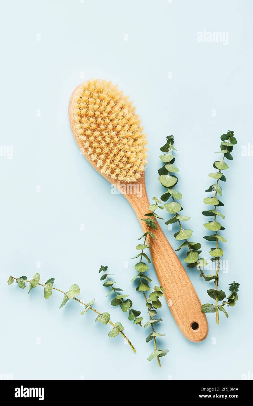 Concept DE soins SPA. Brosse pour un massage sec anti-cellulite et des branches d'eucalyptus sur fond bleu. Vue de dessus, espace de copie pour le texte Banque D'Images