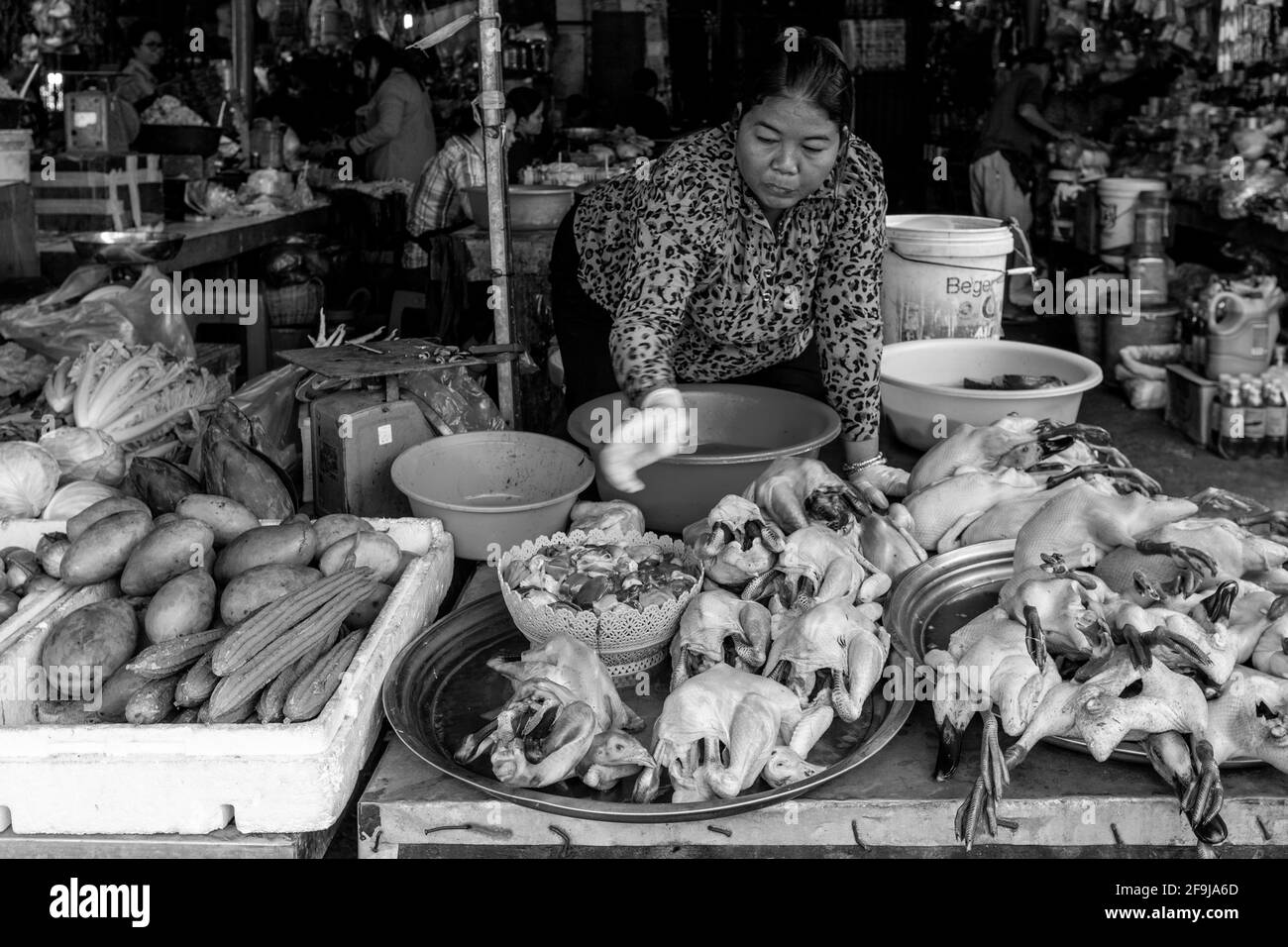 Poulet Frais Et Canards À Vendre Sur Le Marché De Psar Nath (Marché Central}, Battambang, Cambodge. Banque D'Images