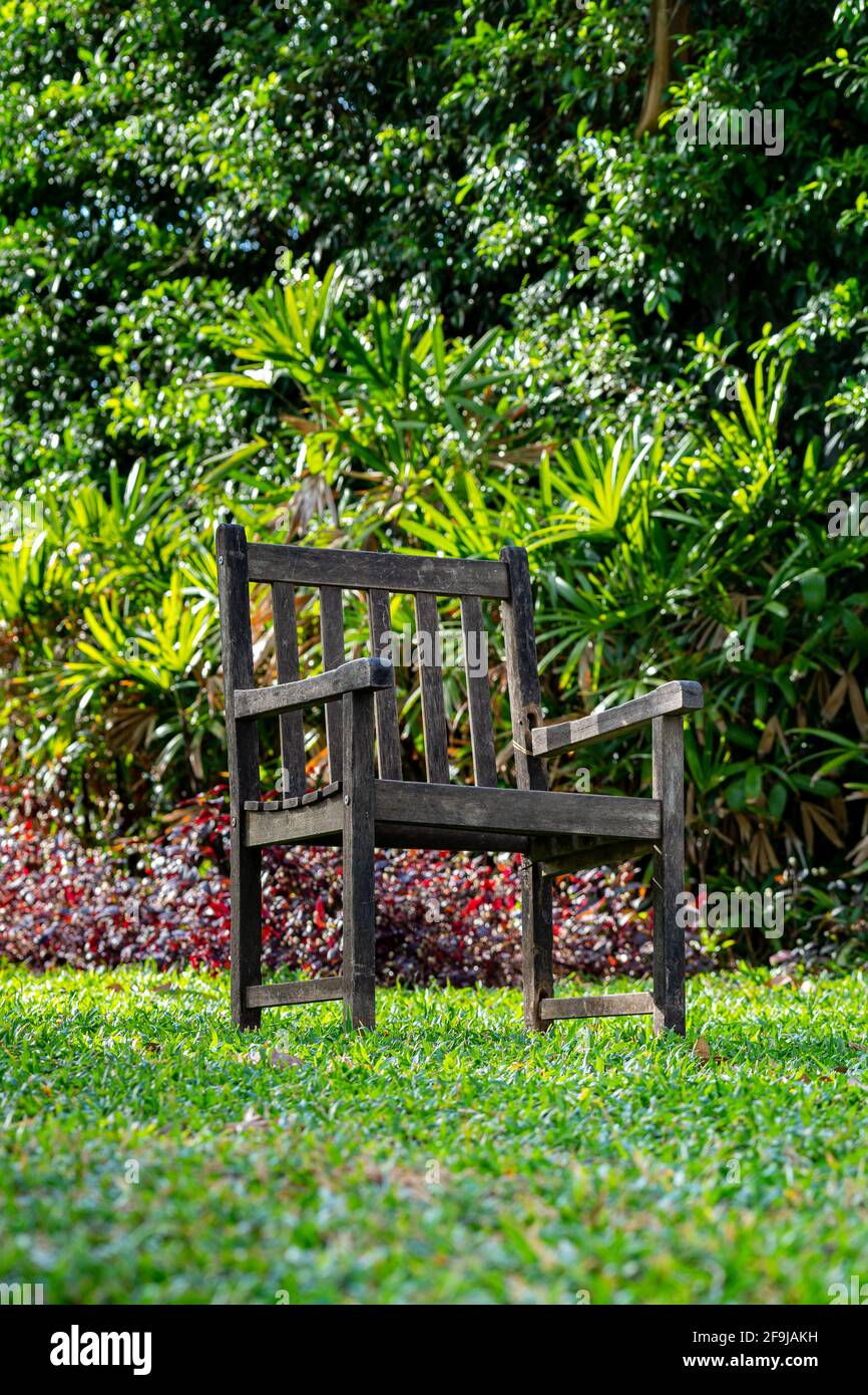 Chaise en bois isolée sur pelouse avec beau fond de jardin Banque D'Images
